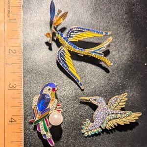 Colorful Bird Brooch Set- Dove, Parrot And Hummingbird